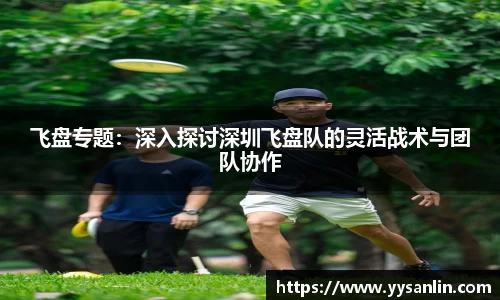 yy易游官网